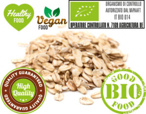 Oat Cakes GALLETTE 100gr - immagine 2